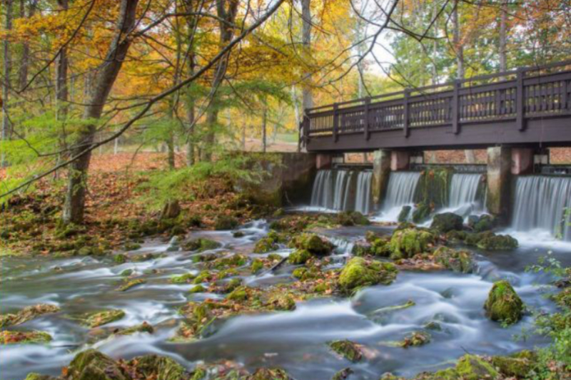 Maramec Spring Park, St. James Mo. Missouri's 5th largest spring. Home of the Folky Fish Fest